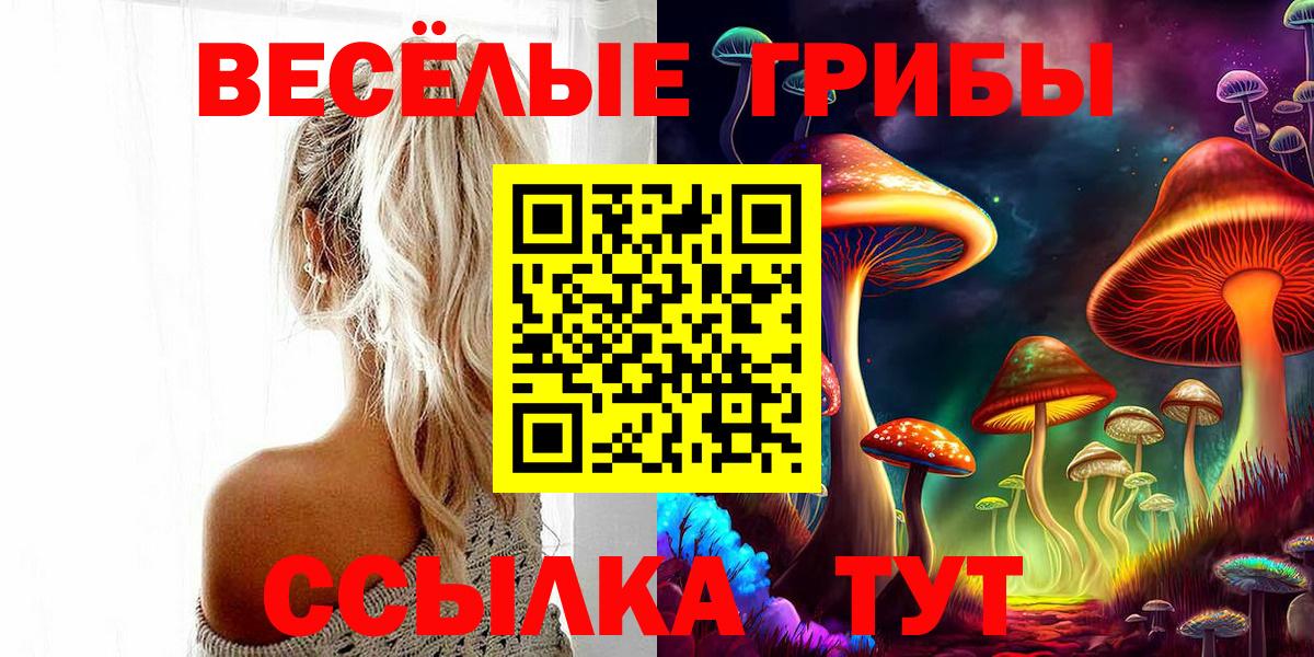 Псилоцибиновые грибы прущие грибы Азов
